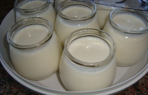Iogurte natural cremoso açucarado na iogurteira by Miminhos da Marta