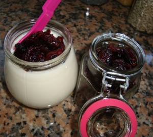 Iogurte natural cremoso açucarado com bagas de cramberry by Miminhos da Marta  